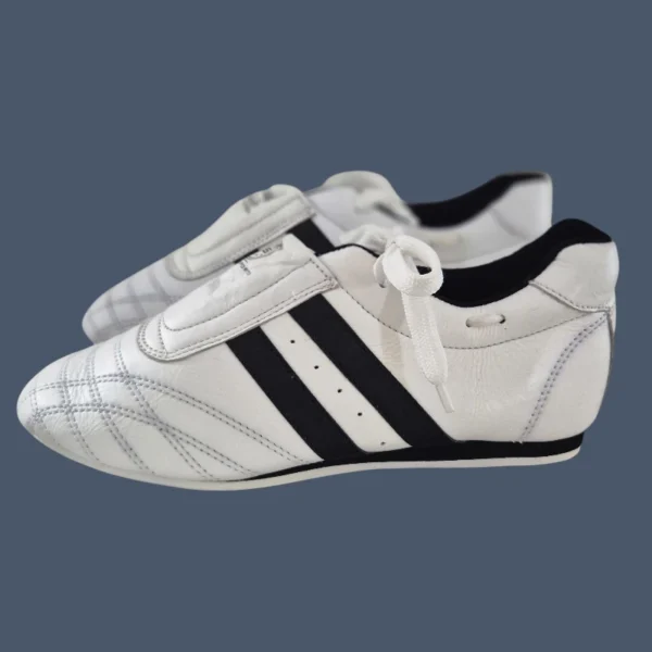 TKD_shoes_side Side view of martial arts or Taekwondo shoes
