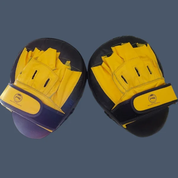 Focus mitts back Back view of leather hand held focus pads for martial arts training.