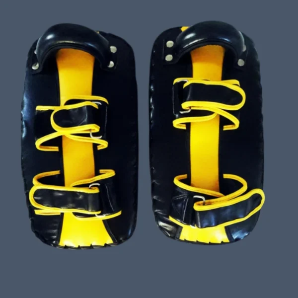 MT05_back Back view of 1 pair of Thai kick shields