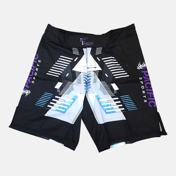 PolyesterExcellentWorkoutShorts1 PolyesterExcellentWorkoutShorts1