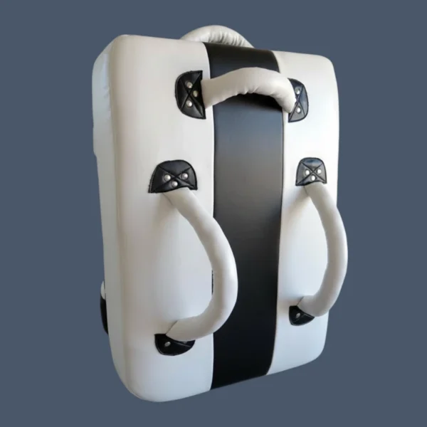 SHLD1_back Back view of martial arts kickshield