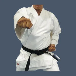 Front view of man wearing karate jacket, in a punching stance.