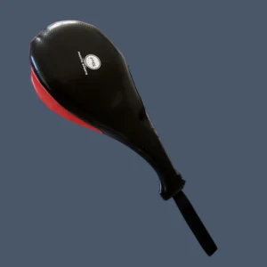 Taekwondo training aid - double paddle